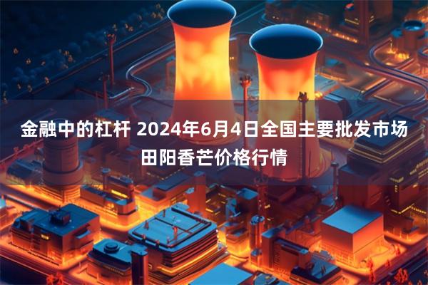 金融中的杠杆 2024年6月4日全国主要批发市场田阳香芒价格行情