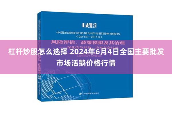 杠杆炒股怎么选择 2024年6月4日全国主要批发市场活鹅价格行情