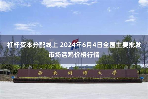 杠杆资本分配线上 2024年6月4日全国主要批发市场活鸡价格行情