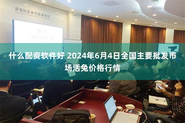 什么配资软件好 2024年6月4日全国主要批发市场活兔价格行情