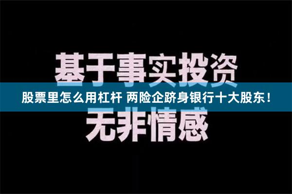 股票里怎么用杠杆 两险企跻身银行十大股东！