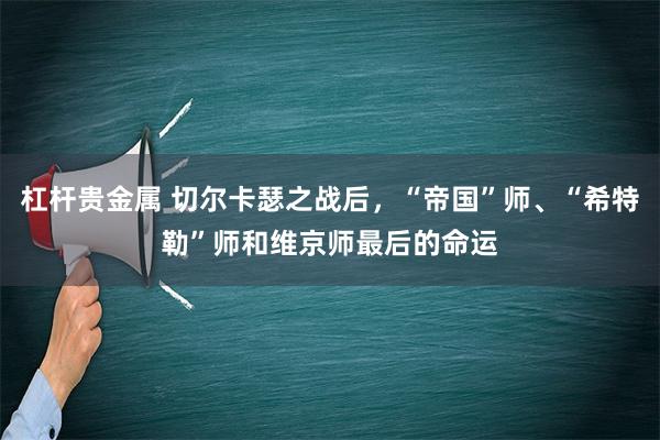 杠杆贵金属 切尔卡瑟之战后，“帝国”师、“希特勒”师和维京师最后的命运