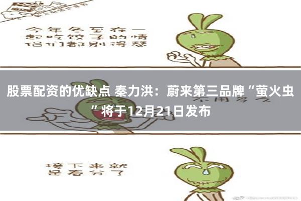 股票配资的优缺点 秦力洪：蔚来第三品牌“萤火虫”将于12月21日发布