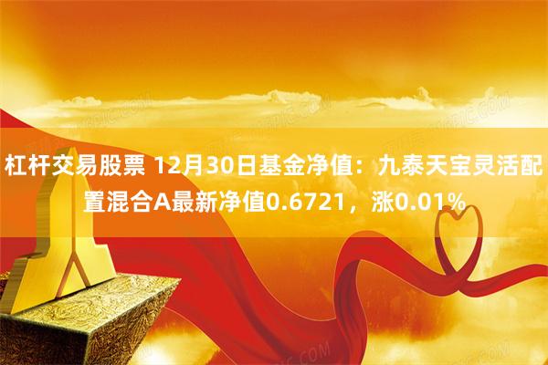 杠杆交易股票 12月30日基金净值：九泰天宝灵活配置混合A最新净值0.6721，涨0.01%