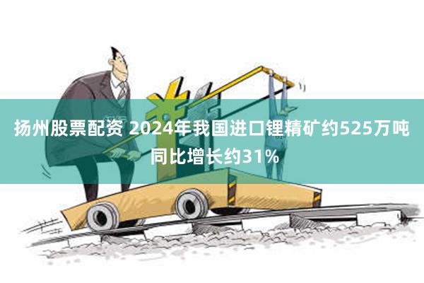 扬州股票配资 2024年我国进口锂精矿约525万吨 同比增长约31%